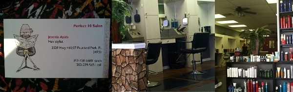Perfect 10 Salon 3339 US Highway 441^27 Fruitland Park Florida 