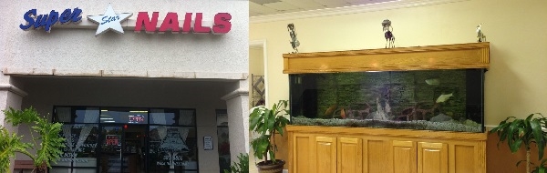 Superstar Nailsv 2700 Immokalee Rd Naples Florida 